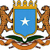 Dowlada Somalia oo xarun laga bixiyo Baasaboorka Somalia ka furtay dalka Mareykanka thumbnail