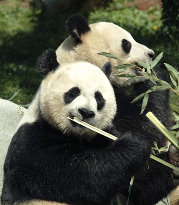 The National Zoo is another