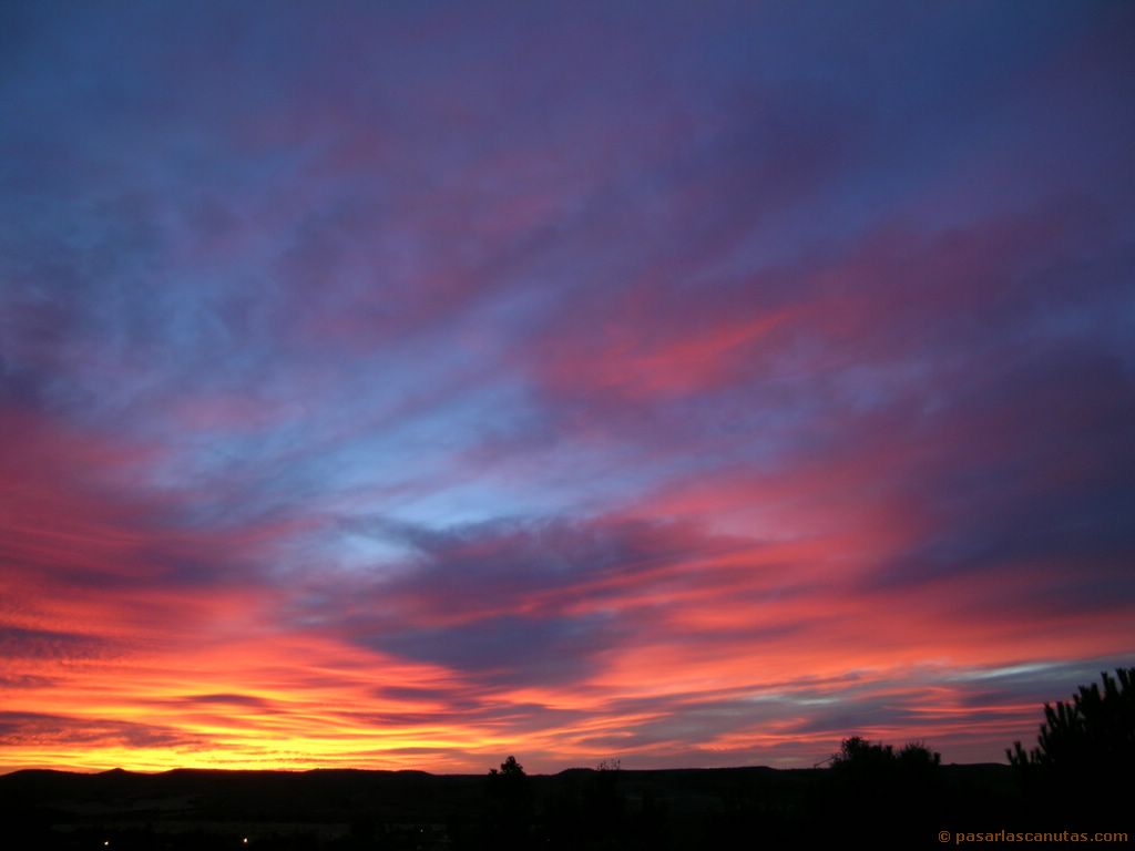 Mi Palabra Diaria: 22 de Julio