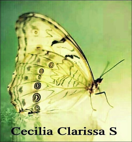 ♥ Cecilia Clarissa S ♥
