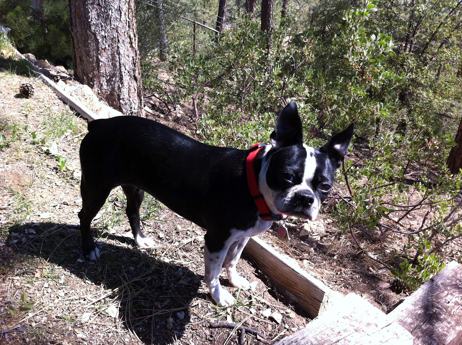 site de rencontre completement gratuit belgique