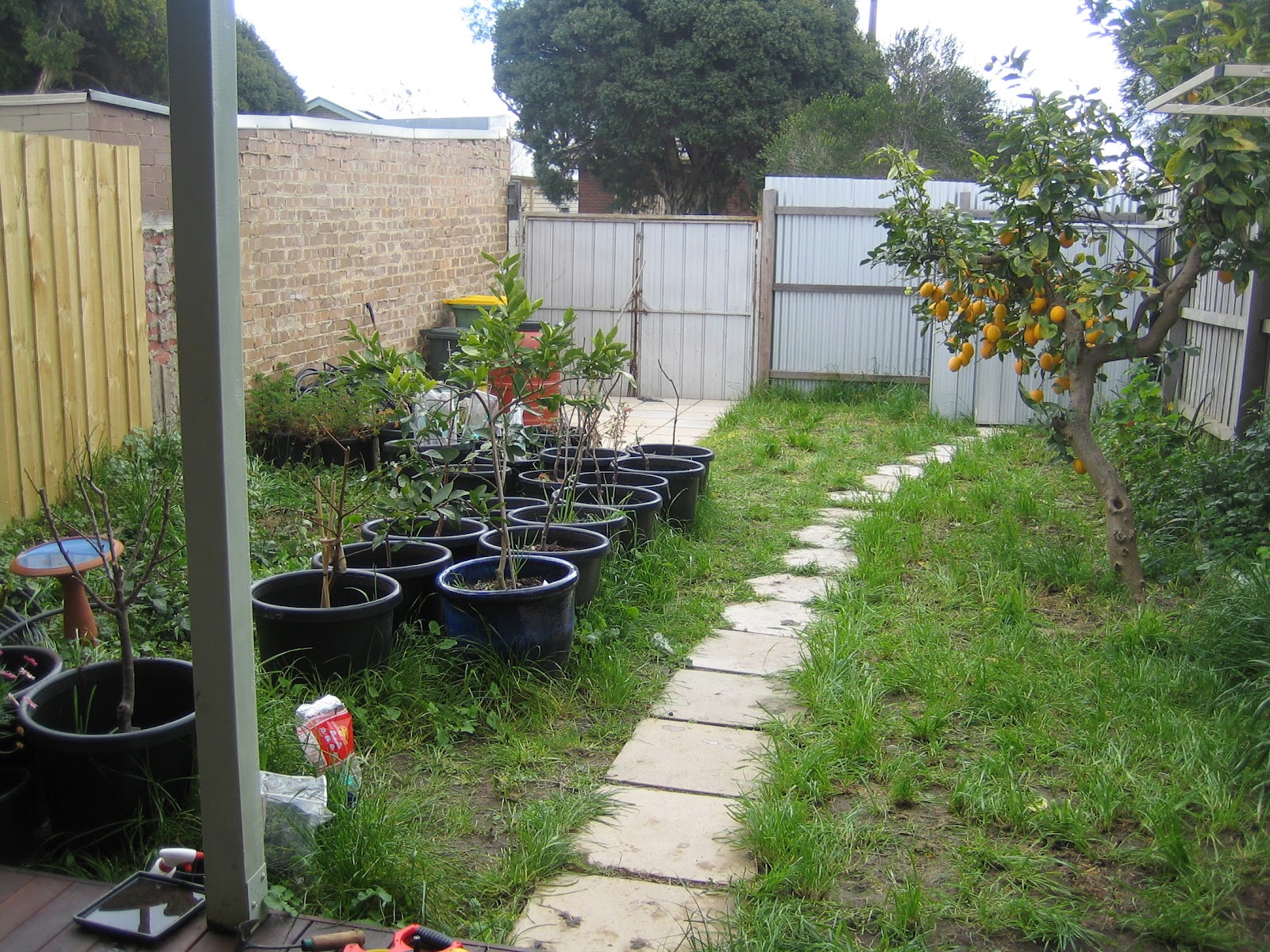 Three Part Plot Permaculture Design Northcote