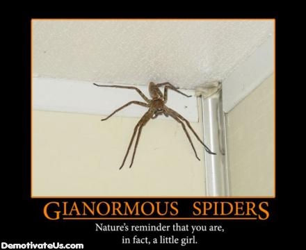 giant-spiders-men-into-girls-demotivational-poster.jpg