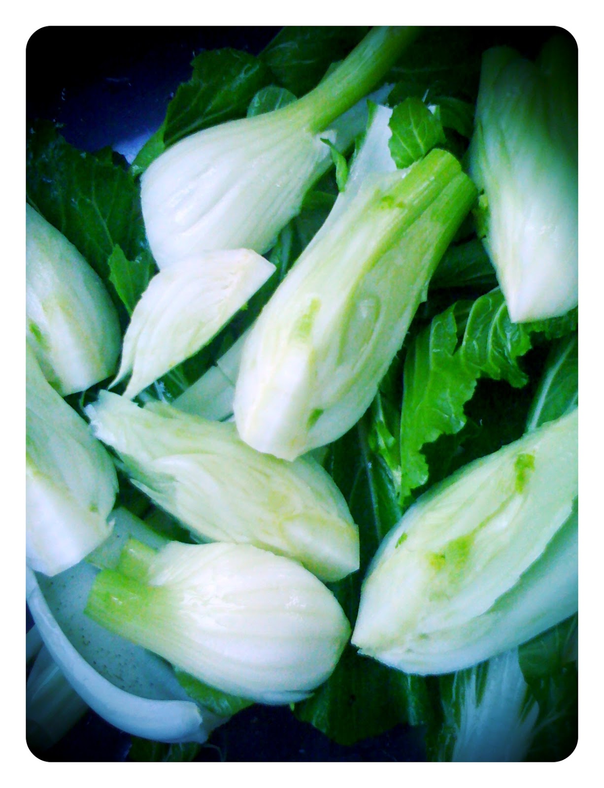 Vegan Recipes Cooking Florence Fennel and Bok Choy together