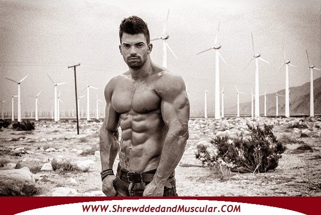 sergi constance workout routine nutrition plan muscle 2017