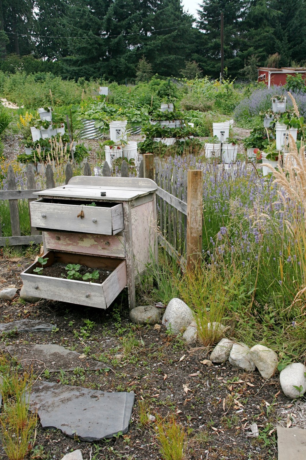 Finding the extraordinary in the ordinary Snoqualmie Ice Cream Farm in