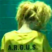 Harley Quinn Arrow Harley Quinn Arrow