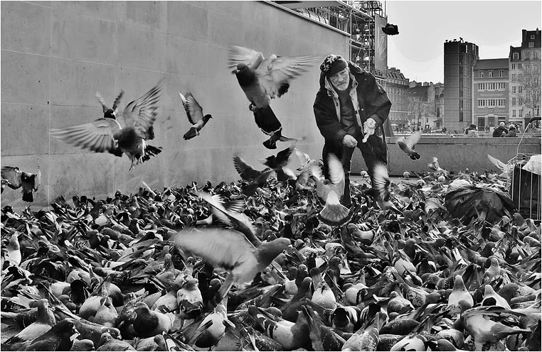 Compact Camera, Best Photo of the Day in Emphoka by Jérôme Bacharach, Fujifilm X20, http://flic.kr/p/jHnbdZ Compact Camera, Best Photo of the Day in Emphoka by Jérôme Bacharach, Fujifilm X20, http://flic.kr/p/jHnbdZ