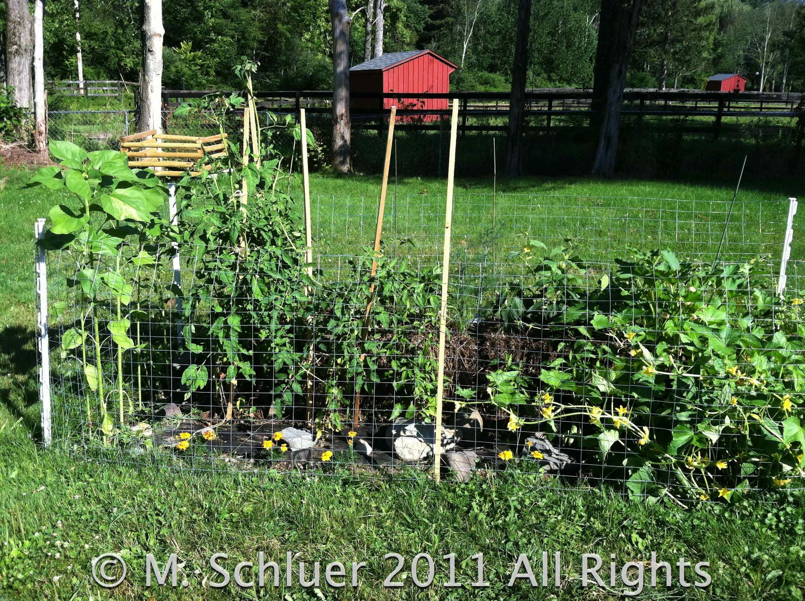 Garden Sweet Garden: Straw Bale Garden