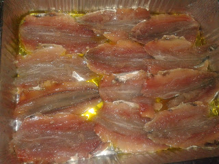 tortino di sardine