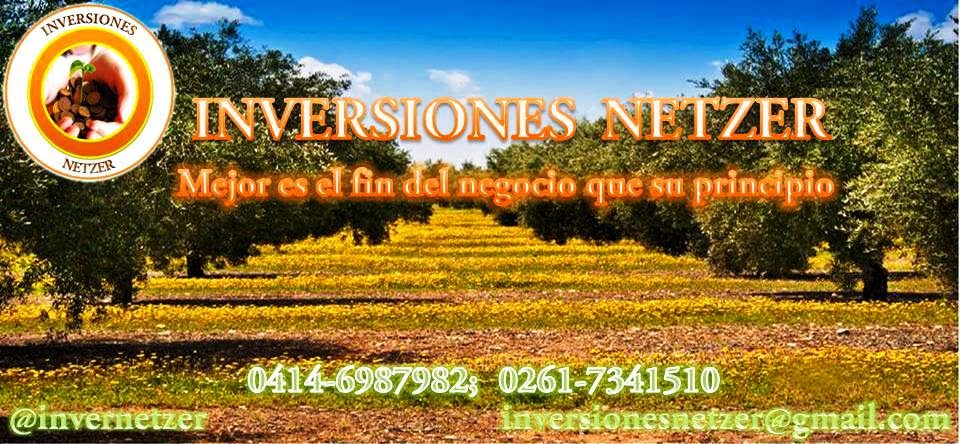 INVERSIONES NETZER