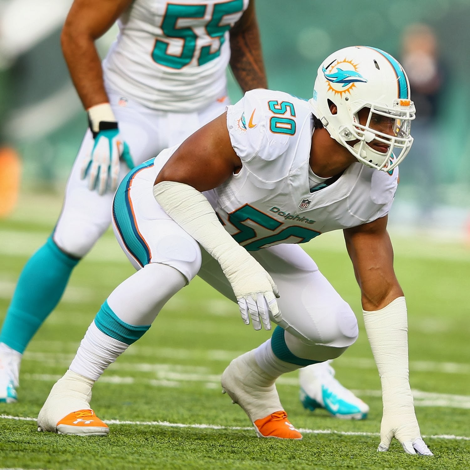 Miami Dolphins 2014 Depth Chart