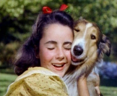 3 LASSIE Films LASSIE COME HOME SON of LASSIE Elizabeth Taylor