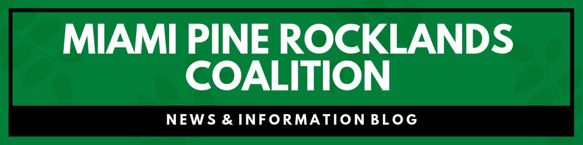 Miami Pine Rocklands Coalition