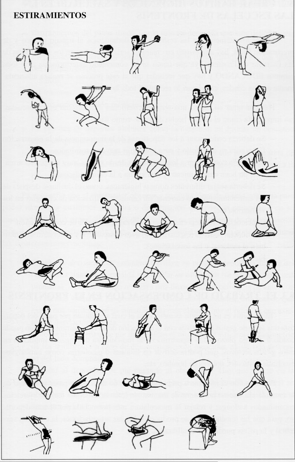 JUEGO FLEXIBILIDAD juego flexibilidad:
