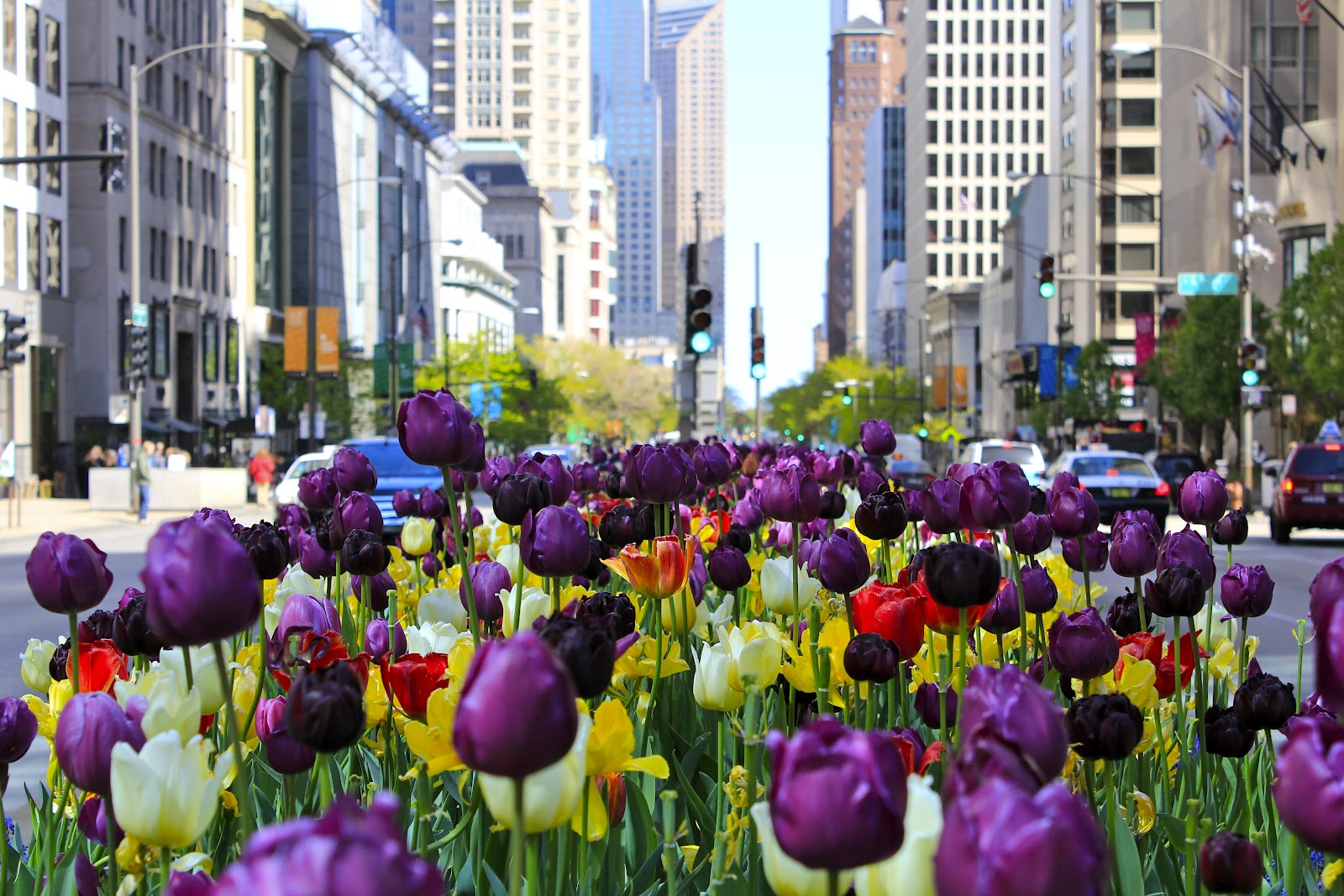 [Image: _MG_9407.JPG]