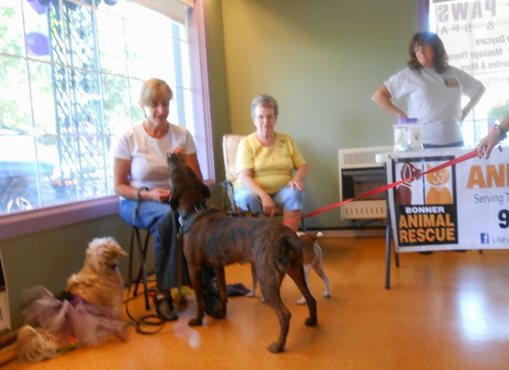 Time For Poodles And Friends PAWTY!!!!!!!!!!