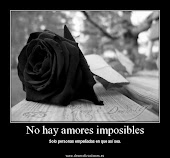 NO HAY AMORES IMPOSIBLES...