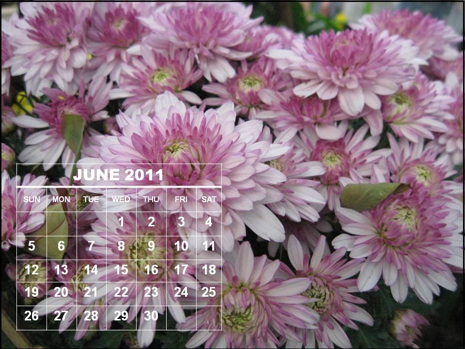 June+month+2011+calendar