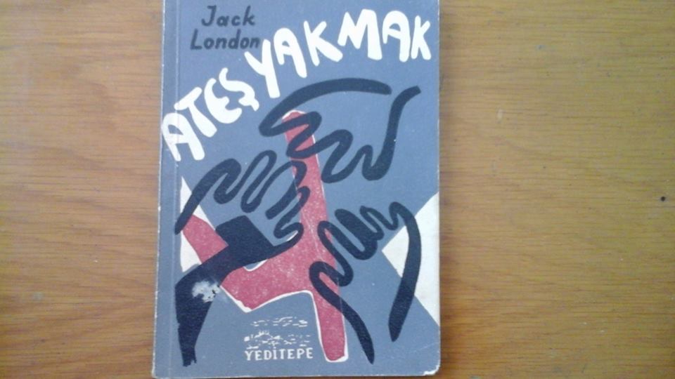 Anka Kitabevi Sahaf Bir Kitap Kapagindaki Surgun Hikayesi Ressam Ivi Stangali