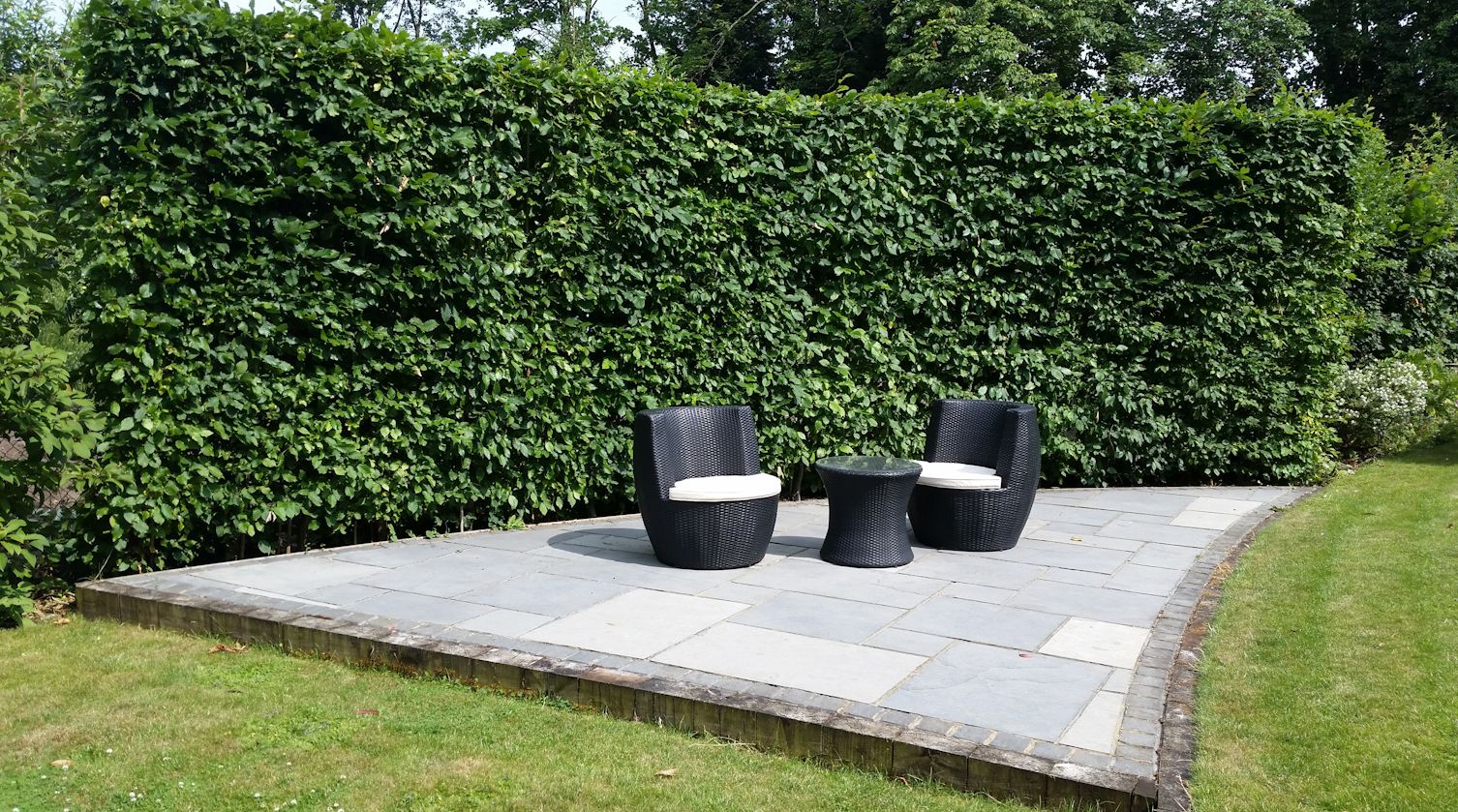 Contemporary-Garden-Design-Woking-Surrey.jpg