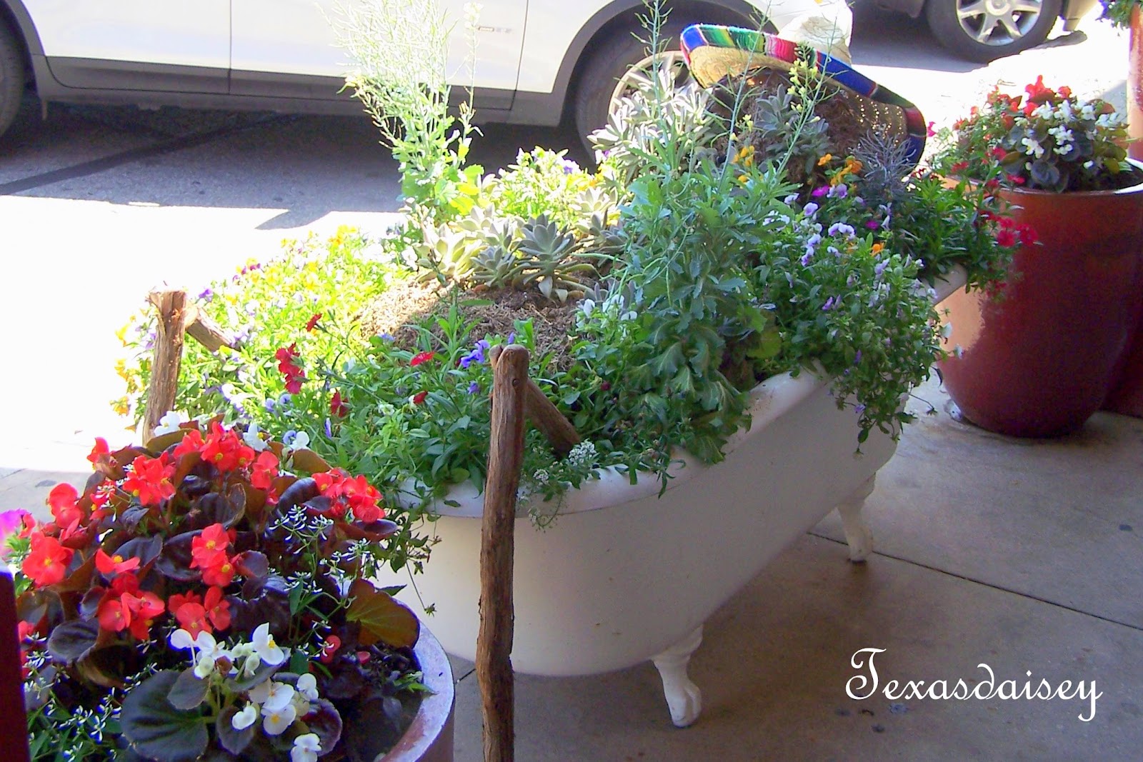 Texasdaisey Creations: Container Garden Ideas