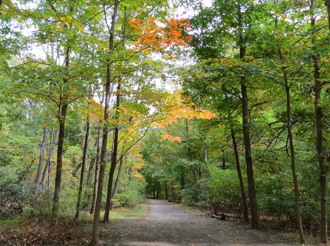 Gone Hikin' Tallman Mountain State Park, NY