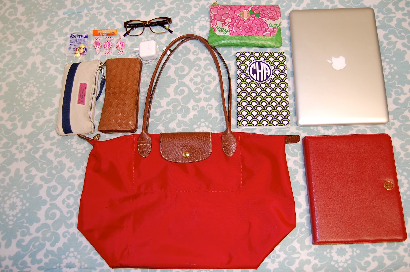 Organize, Please... CarryOn Carly the Prepster