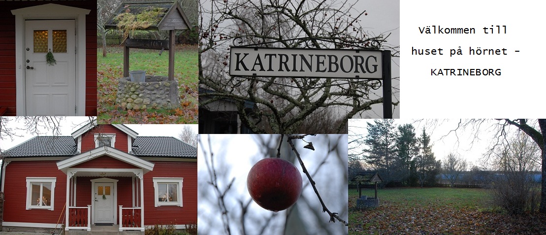 Huset på hörnet - Katrineborg