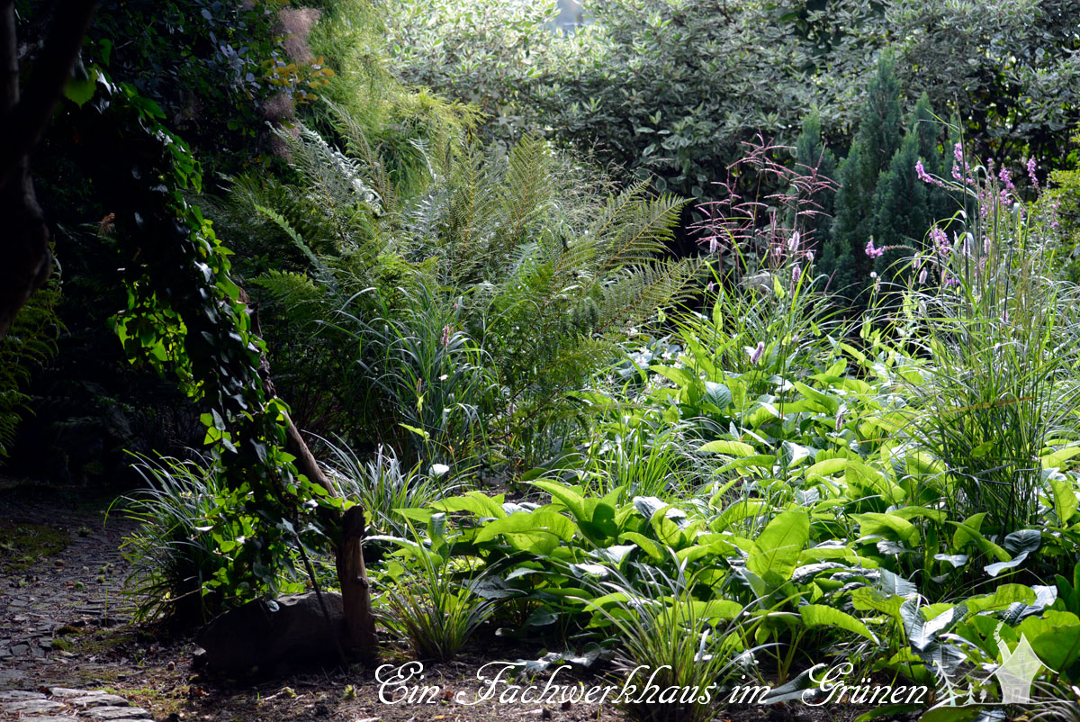 Ein Hugel Mit Grasern Ein Fachwerkhaus Im Grunen