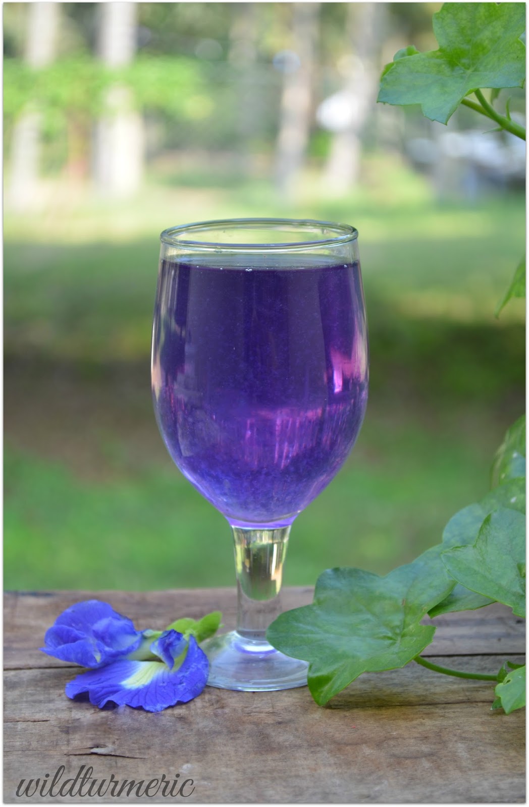 5 Top Health Benefits Of Blue Butterfly Pea Flower Tea Recipe
