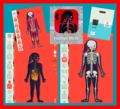 Kindergarten Science Fun! | Organized Classroom