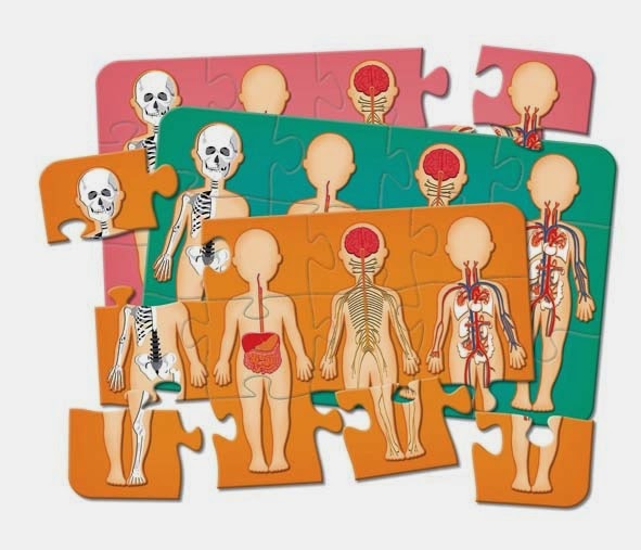 Enigma do corpo,Partes do corpo humano quebra-cabeça para crianças