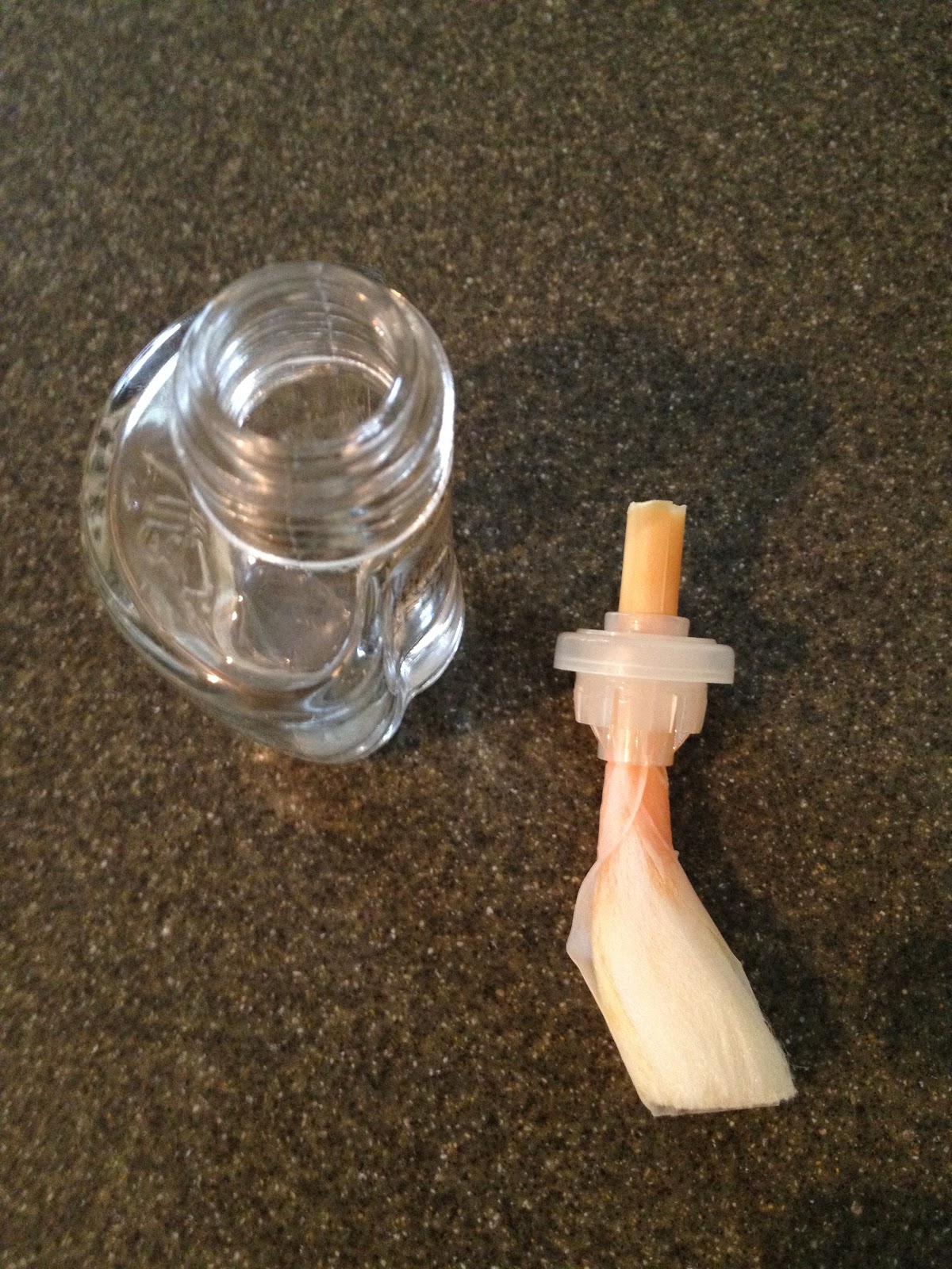 The DIY Guinea Pig Air Freshener