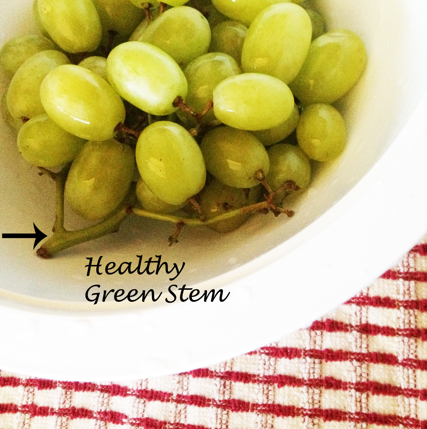 How To Pick Out Perfect Grapes Every Time MyThirtySpot