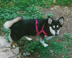 Sheena at age 2