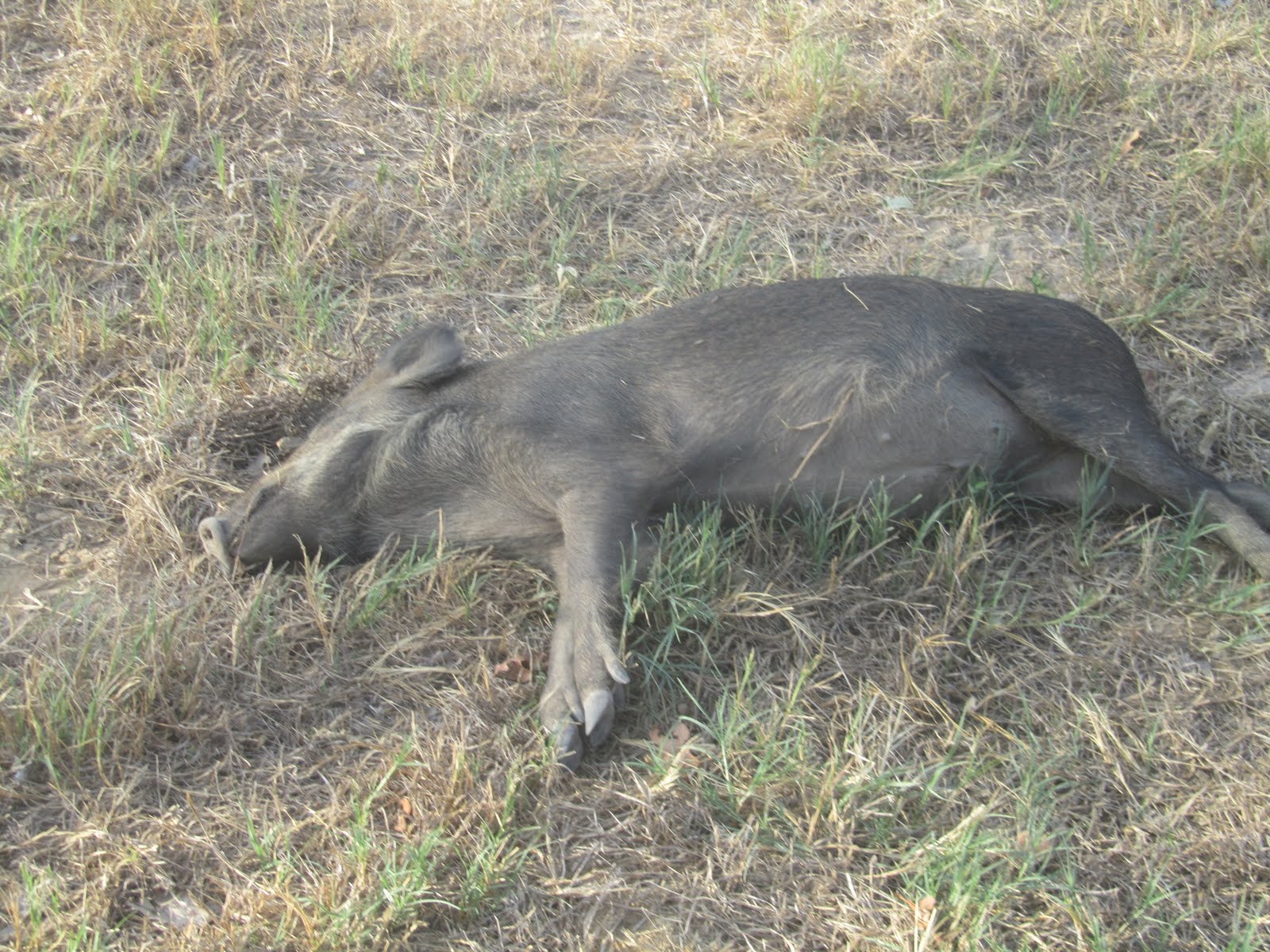 Whats Up With The Worleys: Weekend at the Ranch