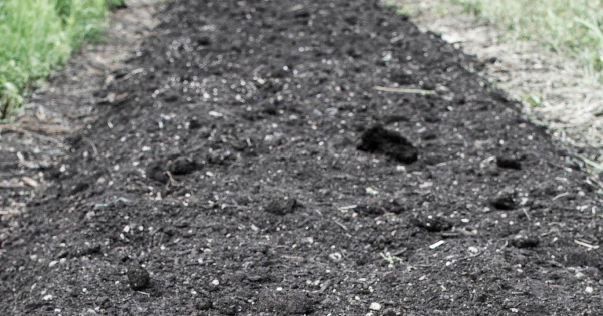 Vegetable Freak The Most Fertile Place in the World