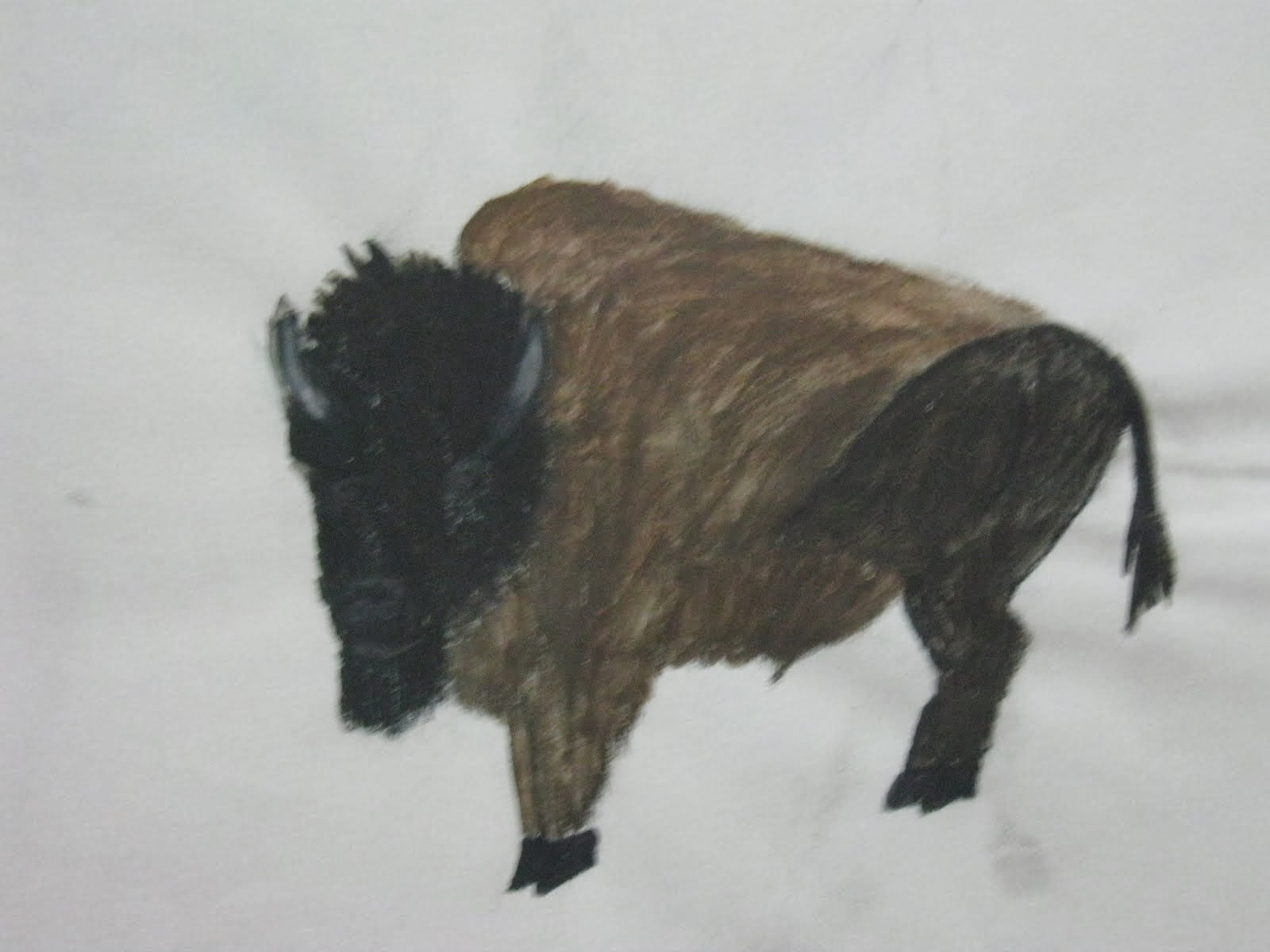 Buffalo