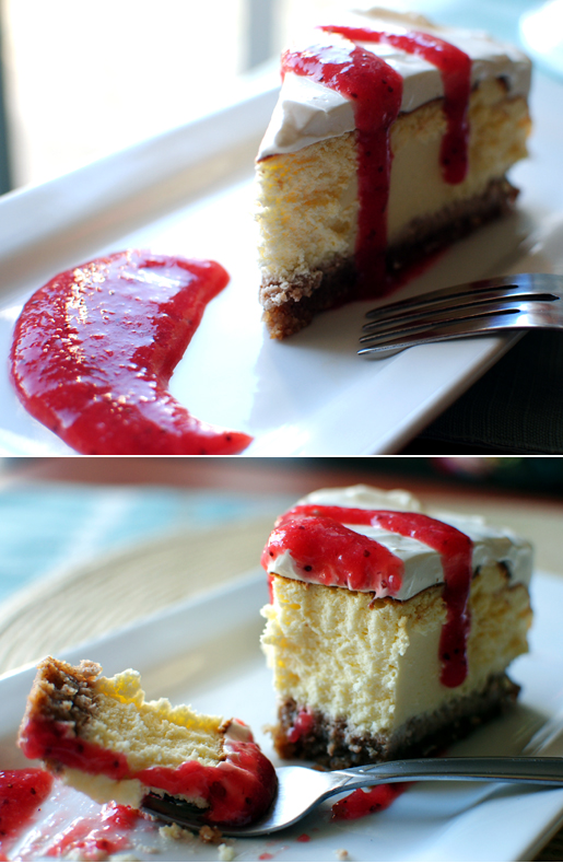 thebakedbeen sour cream cheesecake