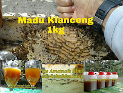 Madu Klanceng