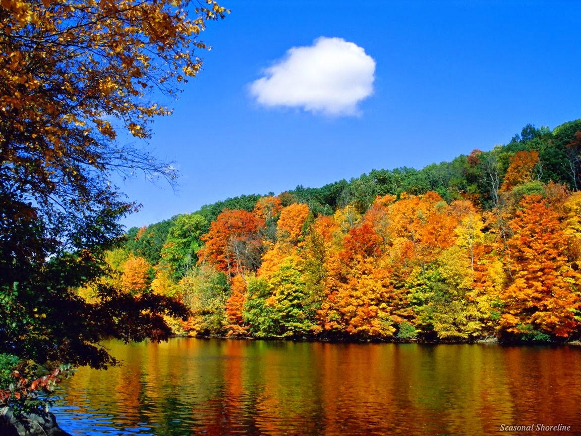 wallpaper download wallpaper download