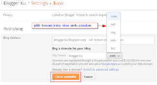 domain-setting