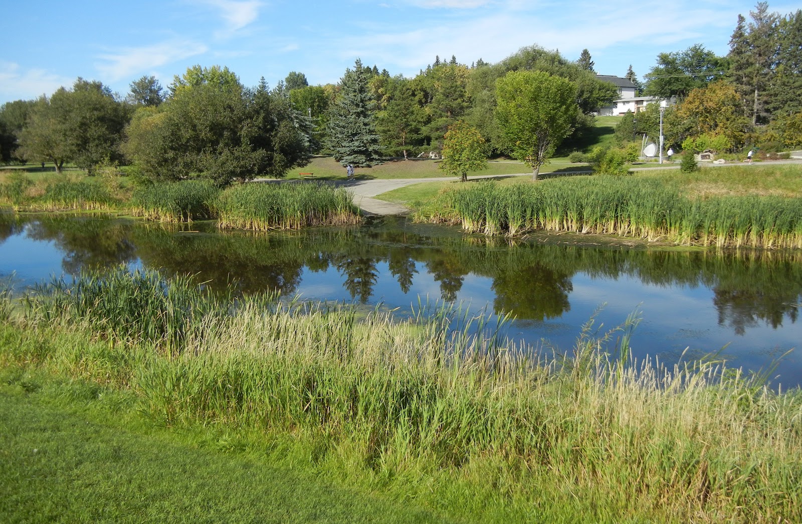 Canoeing Around Edmonton, Alberta, Canada Sturgeon River and Big Lake