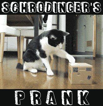 Schrodinger cat prank