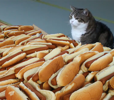 this is what my dreams look like