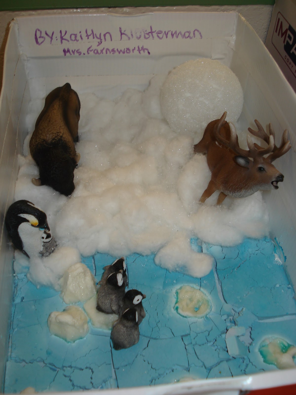 Arctic fox story picture