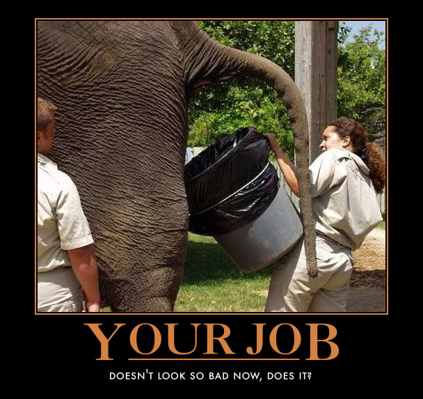 motivational-poster-elephant-diarrhea.jpg