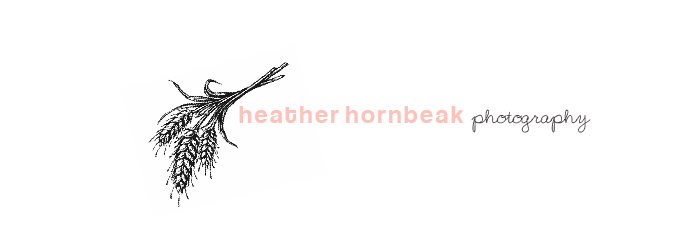 Heather Hornbeak Photography