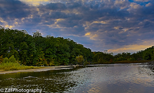 Ziff Photography: Hines Park, Michigan